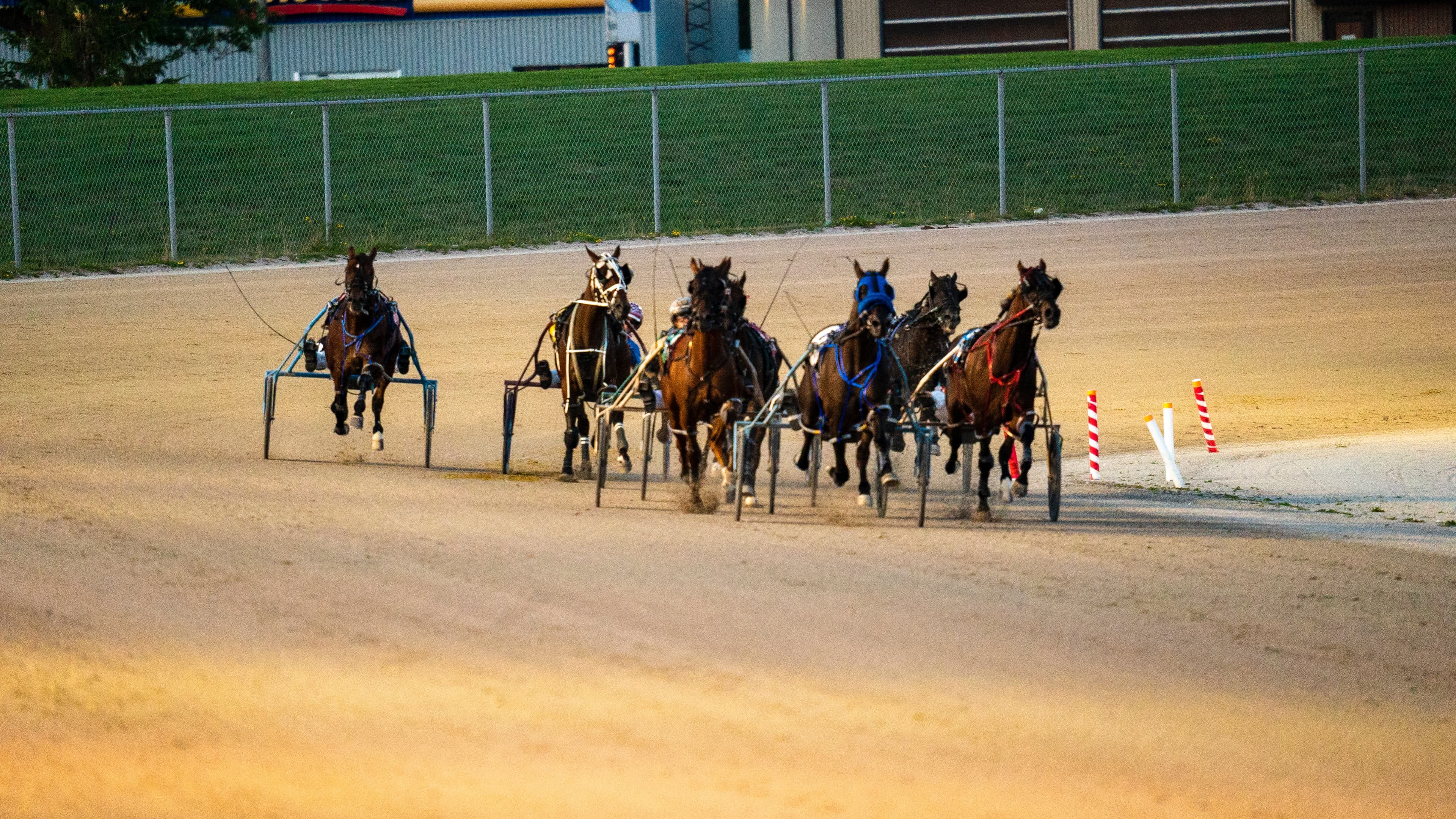 Harness racing